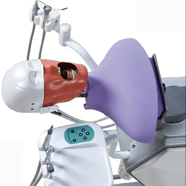 Unidad de estudio de enseñanza preclínica modelo Dental Phantom Head Simulator