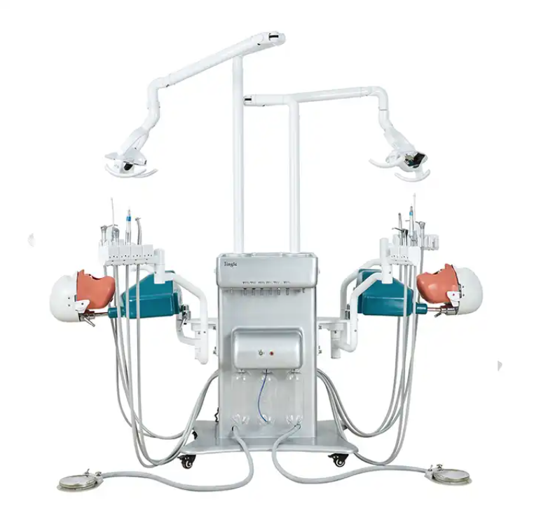 Cabeza fantasma del simulador dental artificial de la unidad dental movible del sistema de estudio