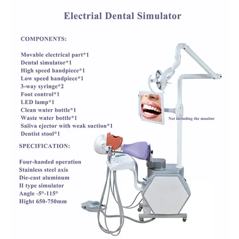 Unidad de estudio de enseñanza preclínica modelo Dental Phantom Head Simulator